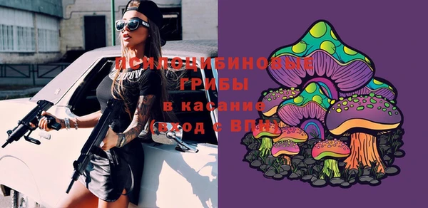 эйфоретик Тавда